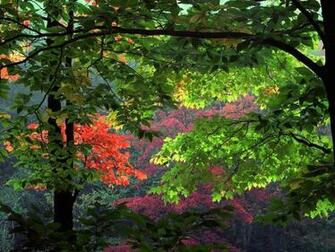 Url Jcfriend Photo Fall Html