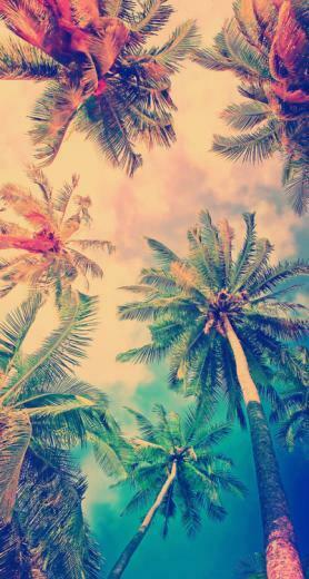 Mira Esta Imagen Que Encontr En We Heart It Weheartit S