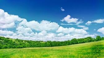 Grassland Scenery Background Widescreen And HD Background Wallpaper