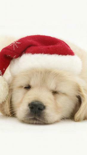 Christmas Wallpaper