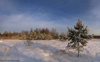 Snowy Field Wallpaper