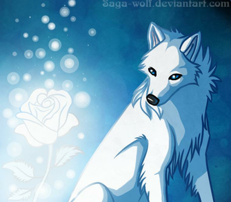 White Wolf Wolves Photo