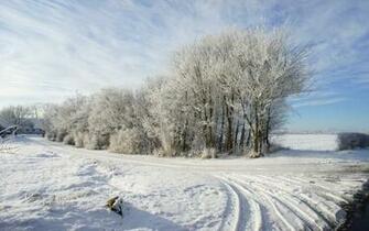 Snowy Path Trees Fields House Wallpaper