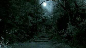 Dark Forest Moon HD Wallpaper Background Image