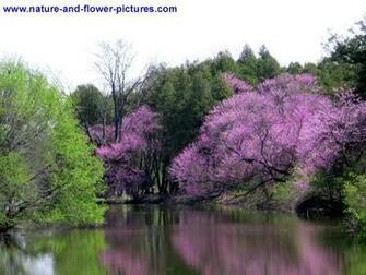 Scenic Wallpaper Pictures From Illinois Virginia West