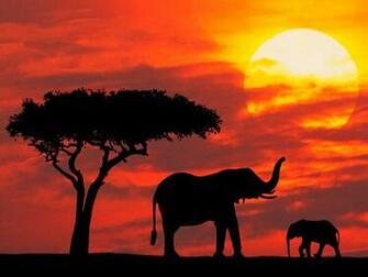Africa Kenya Wallpaper Prints