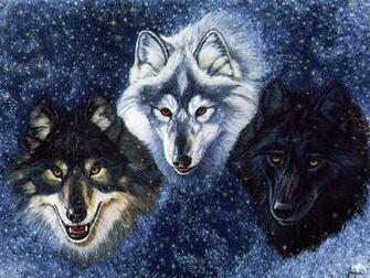 3d Wolf Photos