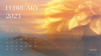 February Calendar Background For Desktop Net