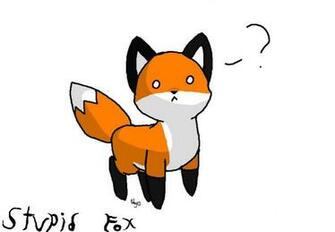 Stupid Fox Wallpaper