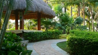 Beautiful Garden Wallpaper Which Is Under The