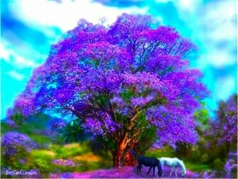 Purple Trees Wallpaper