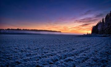 Wallpaper Moody Nature Field Sunlight Landscape