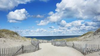 Cape Cod National Parks Conservation Association