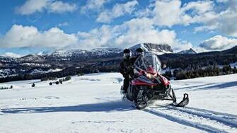 Bearcat Xt Arctic Cat