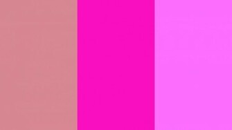 Blush Shocking Pink And Crayola Three Color Background