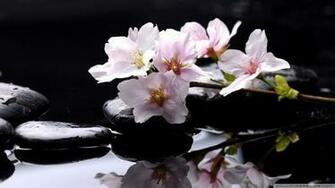 Zen Stones Background Wallpaper