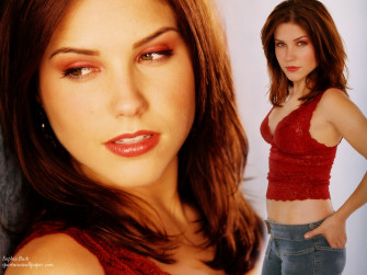 Sophia Bush Wallpaper