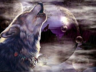 Cool Wolf Background HD Wallpaper In Animals Imageci