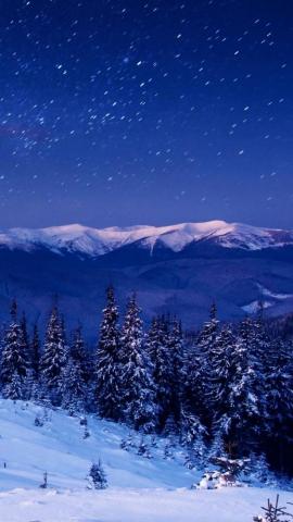 Star Forest Night Home Mountains Trees iPhone 5s Wallpaper