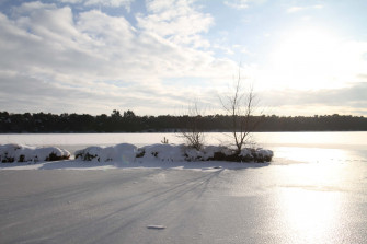 Winter Lake Sunrise Tilburg Wallpaper