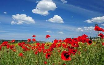 Russia Ukraine Gallery Desktop Wallpaper Picture X