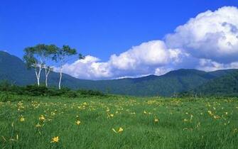 Wallpaper Celebrity Nature