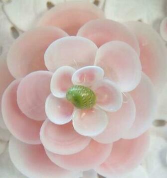 Seashell Crafts Wallpaperup Net