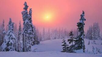 Wallpaper E Sfondi Paesaggi Invernali Con Neve