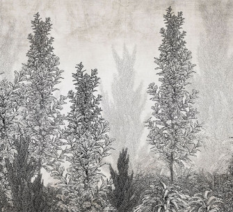 Pencil Paintings Wallpaper