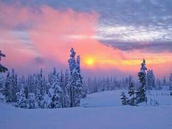 Winter Sunset