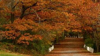 Autumn Scenes Wallpaper