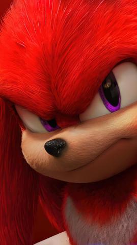 Knuckles Sonic The Hedgehog Poster Wallpaper 4k HD Pc 6201f