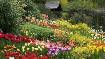 Rose Garden English Wallpaper With Resolution