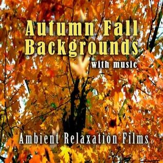 Amazon Autumn Fall Background With Music Jennifer Moreau