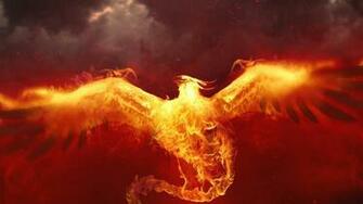 Fantasy Fire Bird Phoenix Wallpaper HD SiwallpaperHD