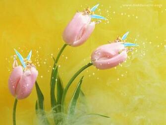 Deanne Morrison Tinkerbell Background
