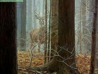 Whitetail Deer Background