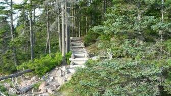 Acadia National Park Walk Wallpaper