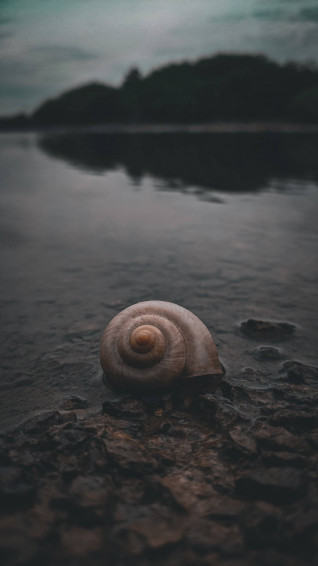 Redmi 4k Wallpaper