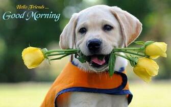 Romantic Good Morning Wallpaper