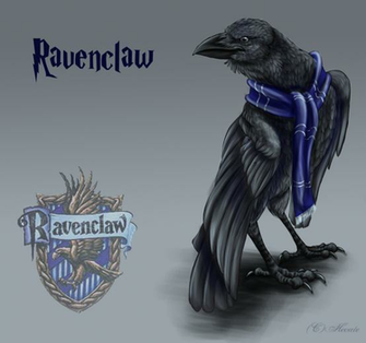 Harry Potter Ravenclaw Wallpaper Raven For