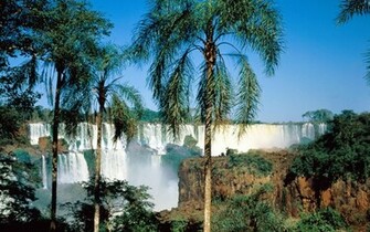 Iguazu Falls Wallpaper