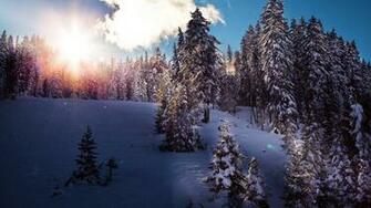 4k Winter Nature Background T312x HD Wallpaper