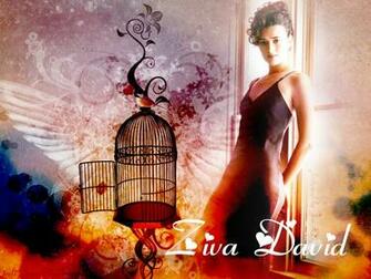 Ncis Image Ziva David HD Wallpaper And Background Photos