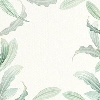 Premium Vector Of Blank White Leafy Background