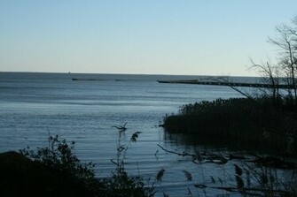 Chesapeake Bay Shoreline Wallpaper