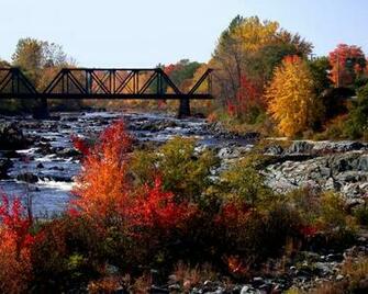 Fall Foliage Pictures HD