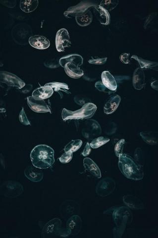 Aesthetic Dark Wallpaper For iPhone That Set The Mood