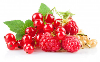 Food Berry HD Wallpaper