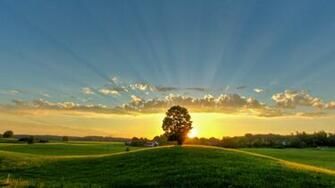 Bing Wallpaper Archive Image